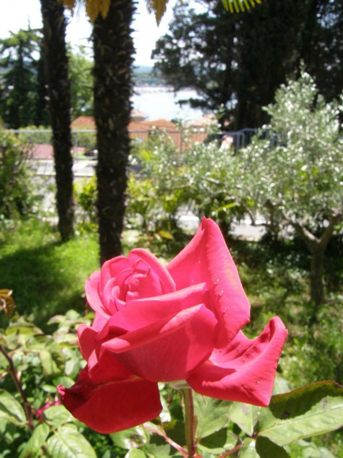 Apartment Sol Mar Portoroz Luaran gambar